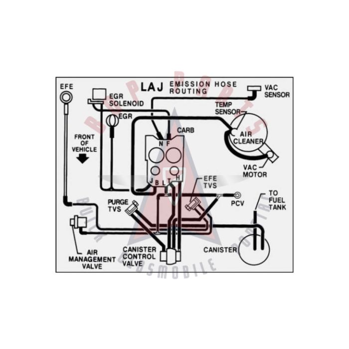 1982 Pontiac Firebird 5.0 Liter Engine Models WITH Automatic Transmission (See Details) LAJ Emission Hose Routing Decal 