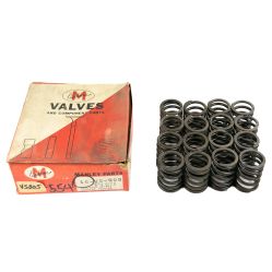 1958 1959 1960 1961 1962 1963 1964 Pontiac 370, 389, 421 Engine Outer Valve Spring Set (16 Pieces) NORS